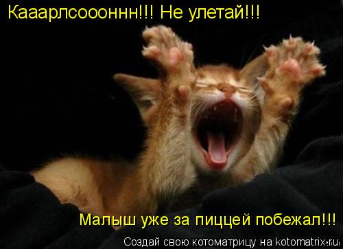 Котоматрица: Кааарлсоооннн!!! Не улетай!!!     Малыш уже за пиццей побежал!!!