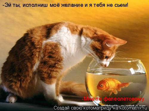 Котоматрица: -Эй ты, исполниш моё желание и я тебя не сьем! -Мне по фелеолетовому