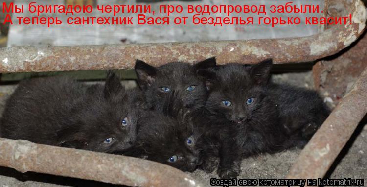 Котоматрица: Мы бригадою чертили, про водопровод забыли. А теперь сантехник Вася от безделья горько квасит!