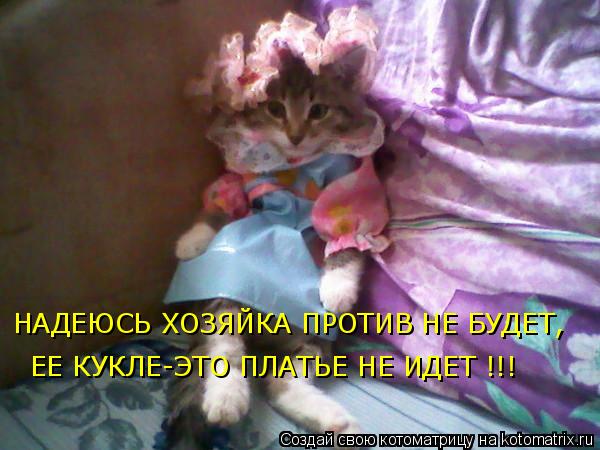 Котоматрица: НАДЕЮСЬ ХОЗЯЙКА ПРОТИВ НЕ БУДЕТ, ЕЕ КУКЛЕ-ЭТО ПЛАТЬЕ НЕ ИДЕТ !!!
