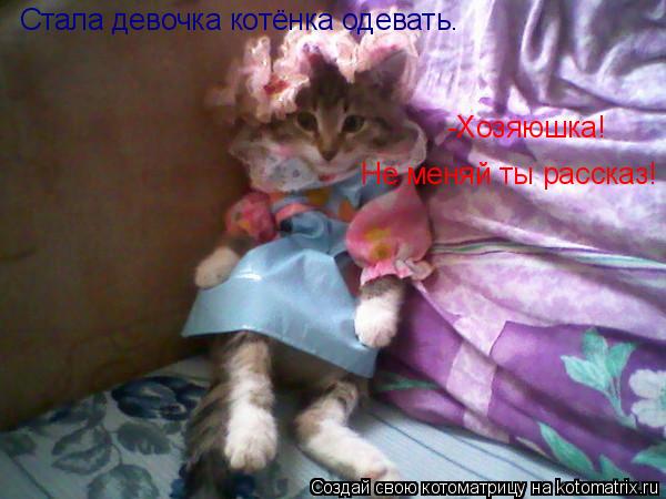 Стала девочка котёнка одевать. -Хозяюшка! Не меняй ты рассказ!... Котоматрица: Стала девочка котёнка одевать. -Хозяюшка! Не меняй ты рассказ!