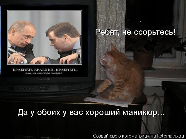 Ребят, не ссорьтесь! Да у обоих у вас хороший маникюр...... Котоматрица: Ребят, не ссорьтесь! Да у обоих у вас хороший маникюр...