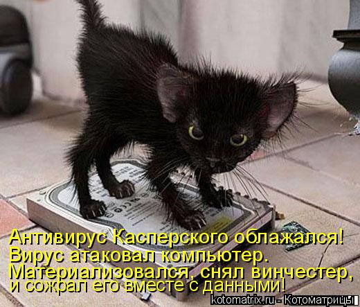Антивирус Касперского облажался! Вирус атаковал компьютер. Материализовался, снял винчестер, и сожрал... Котоматрица: Антивирус Касперского облажался! Вирус атаковал компьютер. Материализовался, снял винчестер, и сожрал его вместе с данными!