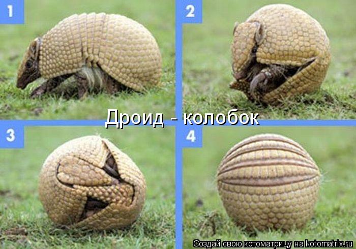 Дроид - колобок... Котоматрица: Дроид - колобок