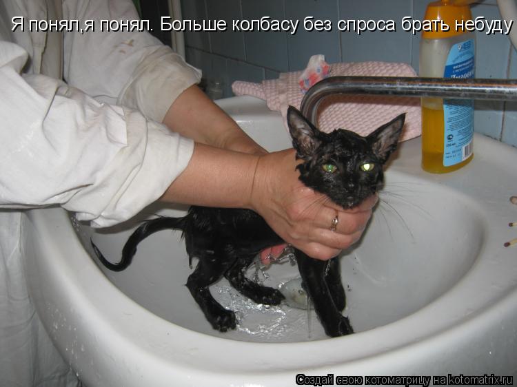 Я понял,я понял. Больше колбасу без спроса брать небуду... Котоматрица: Я понял,я понял. Больше колбасу без спроса брать небуду