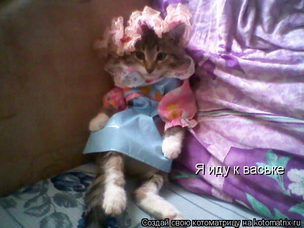 Я иду к ваське... Котоматрица: Я иду к ваське