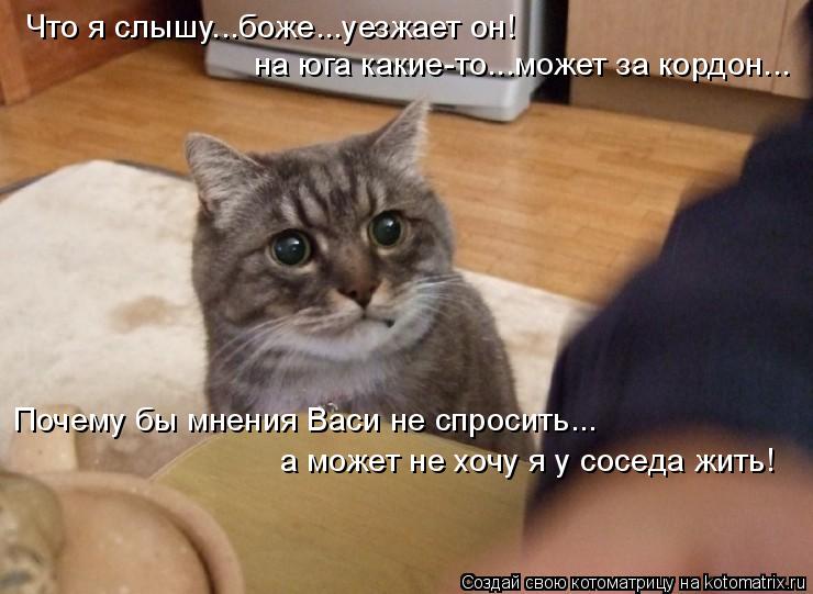 Что я слышу...боже...уезжает он! на юга какие-то...может за кордон... Почему бы мнения Васи не спроси... Котоматрица: Что я слышу...боже...уезжает он! на юга какие-то...может за кордон... Почему бы мнения Васи не спросить... а может не хочу я у соседа жить!