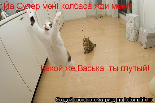 Йа Супер мэн! колбаса жди меня! Какой же Васька ты глупый!... Котоматрица: Йа Супер мэн! колбаса жди меня! Какой же Васька ты глупый!