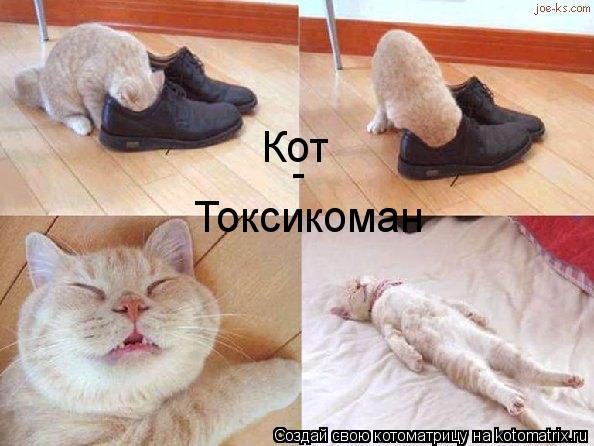 Кот - Токсикоман... Котоматрица: Кот - Токсикоман