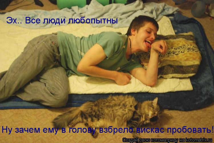 Эх.. Все люди любопытны Ну зачем ему в голову взбрело вискас пробовать!?... Котоматрица: Эх.. Все люди любопытны Ну зачем ему в голову взбрело вискас пробовать!?