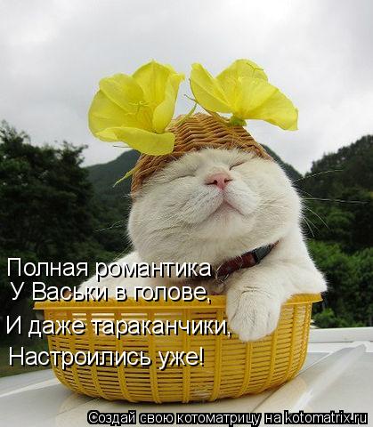 Полная романтика У Васьки в голове, И даже тараканчики, Настроились уже!... Котоматрица: Полная романтика У Васьки в голове, И даже тараканчики, Настроились уже!