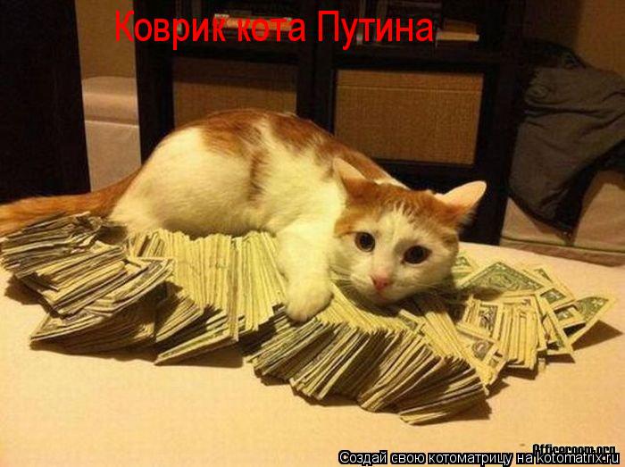 Коврик кота Путина... Котоматрица: Коврик кота Путина