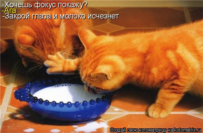 -Хочешь фокус покажу? -Ага -Закрой глаза и молоко исчезнет... Котоматрица: -Хочешь фокус покажу? -Ага -Закрой глаза и молоко исчезнет