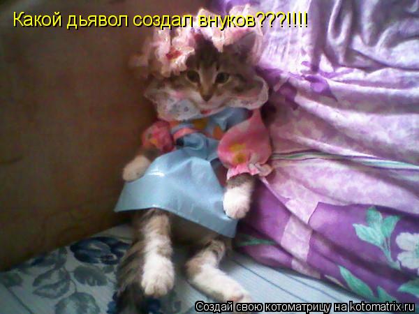 Котоматрица: Какой дьявол создал внуков???!!!!