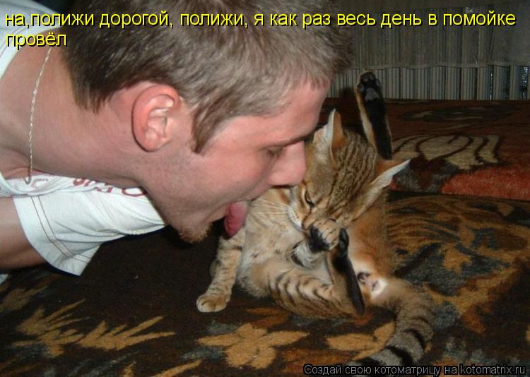 Котоматрица: на,полижи дорогой, полижи, я как раз весь день в помойке провёл