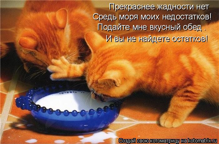 Котоматрица: Прекраснее жадности нет Средь моря моих недостатков! Подайте мне вкусный обед — И вы не найдете остатков!