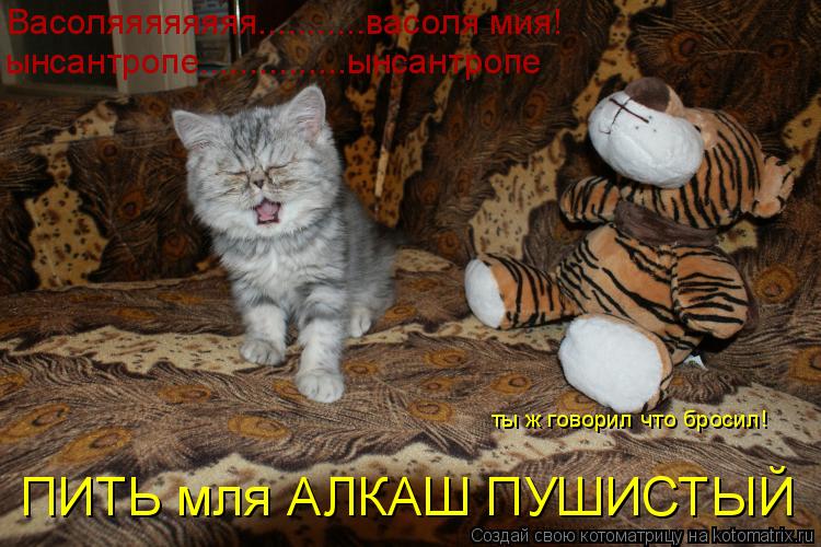 Васоляяяяяяяя...........васоля мия! ынсантропе...............ынсантропе ты ж говорил что бросил! ПИТЬ... Котоматрица: Васоляяяяяяяя...........васоля мия! ынсантропе...............ынсантропе ты ж говорил что бросил! ПИТЬ мля АЛКАШ ПУШИСТЫЙ