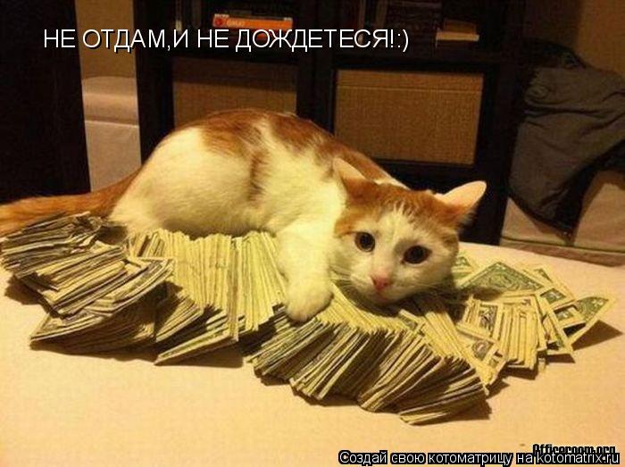 Котоматрица: НЕ ОТДАМ,И НЕ ДОЖДЕТЕСЯ!:)