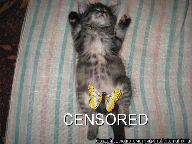 Котоматрица: CENSORED