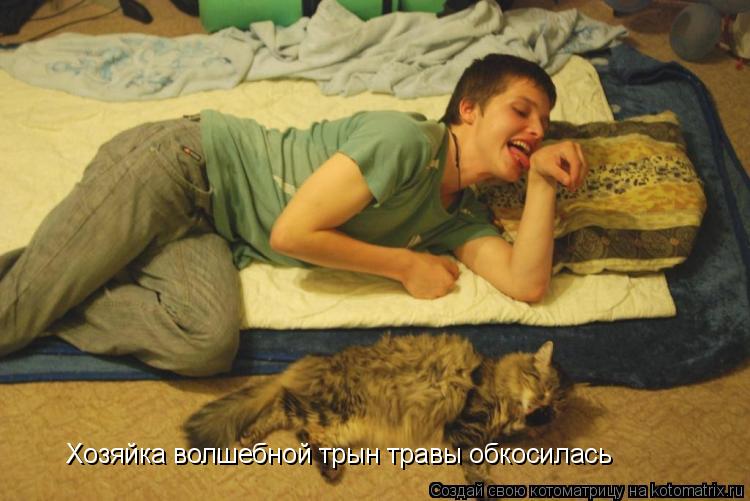 Котоматрица: Хозяйка волшебной трын травы обкосилась