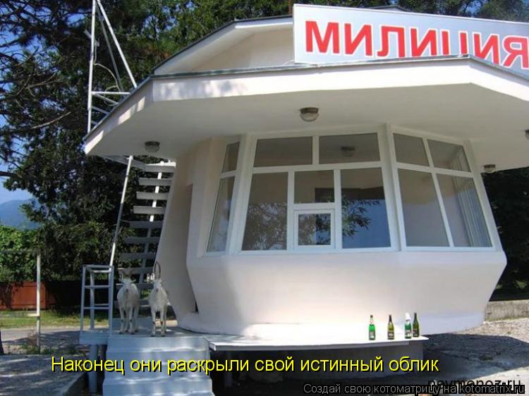 Котоматрица: Наконец они раскрыли свой истинный облик