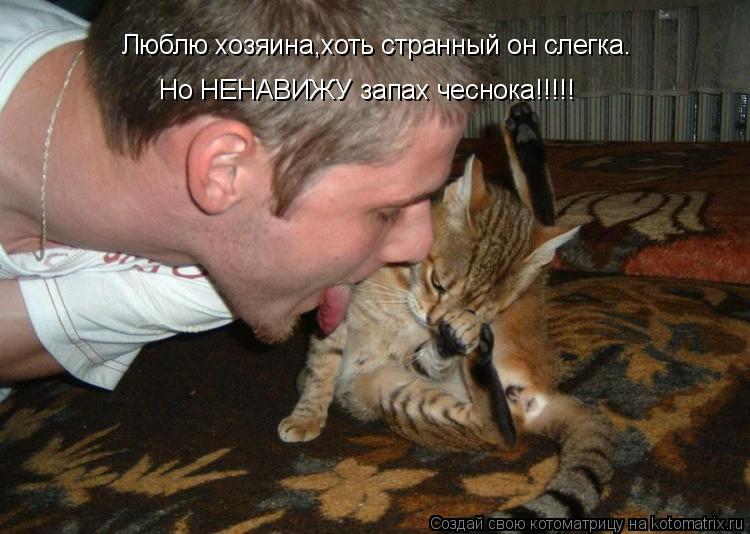 Котоматрица: Люблю хозяина,хоть странный он слегка. Но НЕНАВИЖУ запах чеснока!!!!!