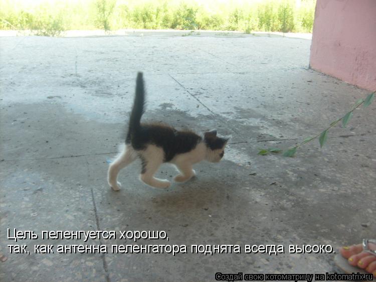 Котоматрица: Цель пеленгуется хорошо, так, как антенна пеленгатора поднята всегда высоко.