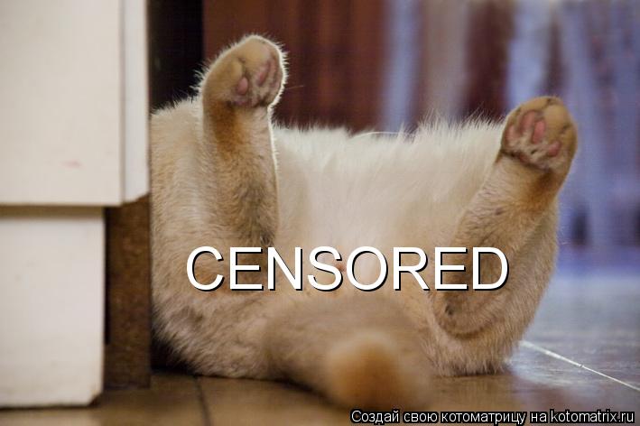 Котоматрица: CENSORED