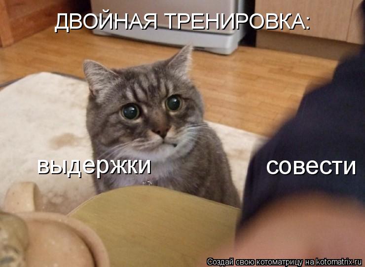 совести выдержки ДВОЙНАЯ ТРЕНИРОВКА:... Котоматрица: совести выдержки ДВОЙНАЯ ТРЕНИРОВКА: