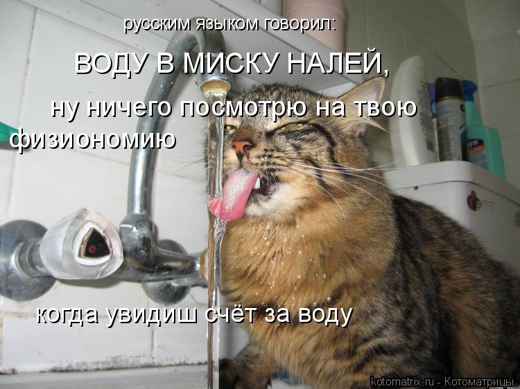 русским языком говорил: ВОДУ В МИСКУ НАЛЕЙ, ну ничего посмотрю на твою физиономию когда увидиш счёт з... Котоматрица: русским языком говорил: ВОДУ В МИСКУ НАЛЕЙ, ну ничего посмотрю на твою физиономию когда увидиш счёт за воду