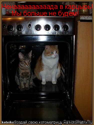 Ненаааааааааада в карцырь! Мы больше не будем!... Котоматрица: Ненаааааааааада в карцырь! Мы больше не будем!