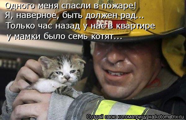 Одного меня спасли в пожаре! Я, наверное, быть должен рад... Только час назад у нас в квартире у мам... Котоматрица: Одного меня спасли в пожаре! Я, наверное, быть должен рад... Только час назад у нас в квартире у мамки было семь котят...