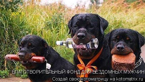 БЛАГОТВОРИТЕЛЬНЫЙ ФОНД ДЛЯ БЕЗДОМНЫХ МУЖЧИН... Котоматрица: БЛАГОТВОРИТЕЛЬНЫЙ ФОНД ДЛЯ БЕЗДОМНЫХ МУЖЧИН