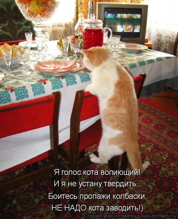 Я голос кота вопиющий! И я не устану твердить... Боитесь пропажи колбаски, НЕ НАДО кота заводить!)... Котоматрица: Я голос кота вопиющий! И я не устану твердить... Боитесь пропажи колбаски, НЕ НАДО кота заводить!)