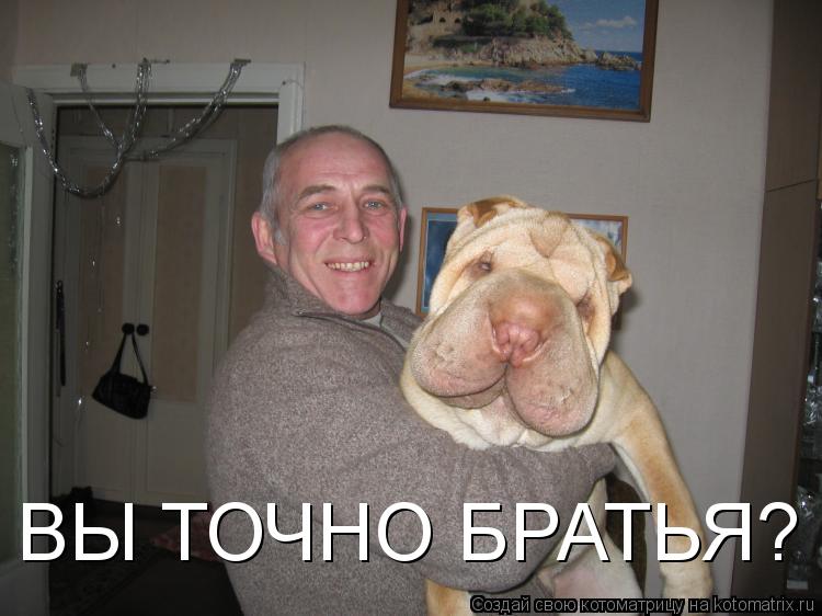 ВЫ ТОЧНО БРАТЬЯ?... Котоматрица: ВЫ ТОЧНО БРАТЬЯ?