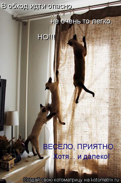 В обход идти опасно, не очень то легко, НО!!! ВЕСЕЛО, ПРИЯТНО. Хотя... и далеко!... Котоматрица: В обход идти опасно, не очень то легко, НО!!! ВЕСЕЛО, ПРИЯТНО. Хотя... и далеко!