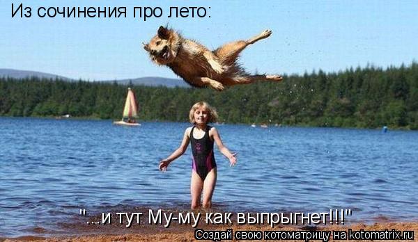 "...и тут Му-му как выпрыгнет!!!" Из сочинения про лето:... Котоматрица: "...и тут Му-му как выпрыгнет!!!" Из сочинения про лето:
