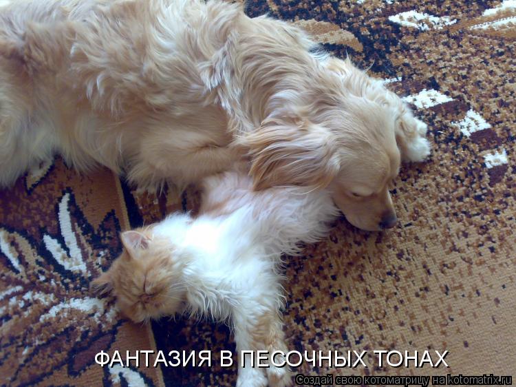 ФАНТАЗИЯ В ПЕСОЧНЫХ ТОНАХ... Котоматрица: ФАНТАЗИЯ В ПЕСОЧНЫХ ТОНАХ