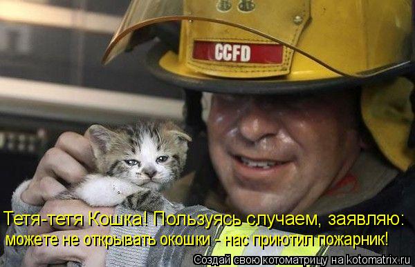 Тетя-тетя Кошка! Пользуясь случаем, заявляю: можете не открывать окошки - нас приютил пожарник!... Котоматрица: Тетя-тетя Кошка! Пользуясь случаем, заявляю: можете не открывать окошки - нас приютил пожарник!