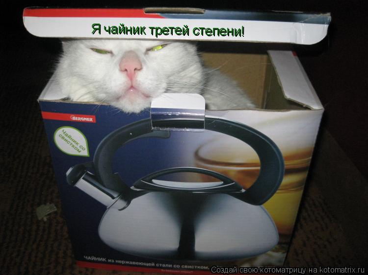 Я чайник третей степени!... Котоматрица: Я чайник третей степени!
