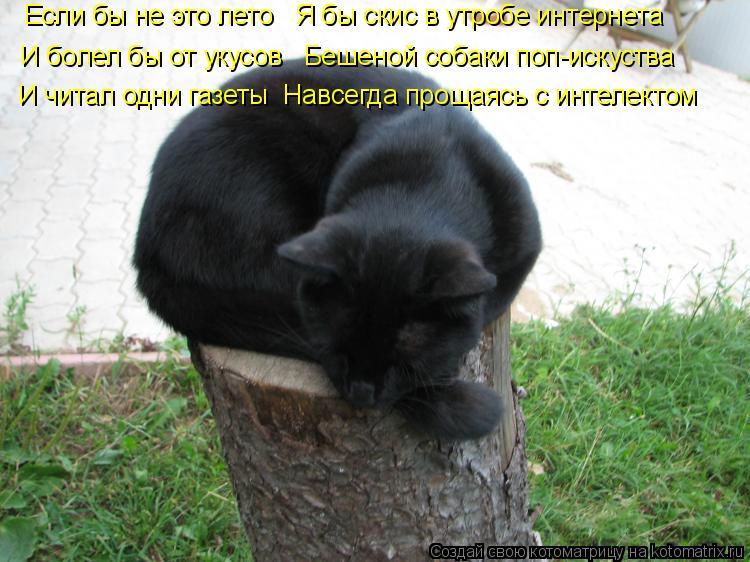 Если бы не это лето Я бы скис в утробе интернета И болел бы от укусов Бешеной собаки поп-искуства... Котоматрица: Если бы не это лето Я бы скис в утробе интернета И болел бы от укусов Бешеной собаки поп-искуства И читал одни газеты Навсегда прощаясь с