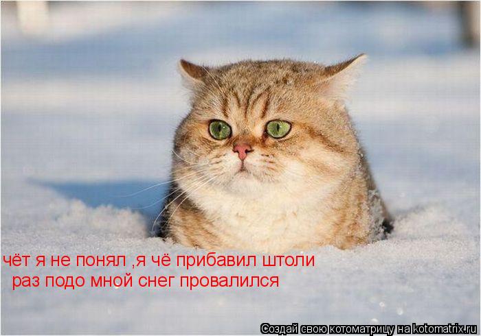 чёт я не понял ,я чё прибавил штоли раз подо мной снег провалился... Котоматрица: чёт я не понял ,я чё прибавил штоли раз подо мной снег провалился