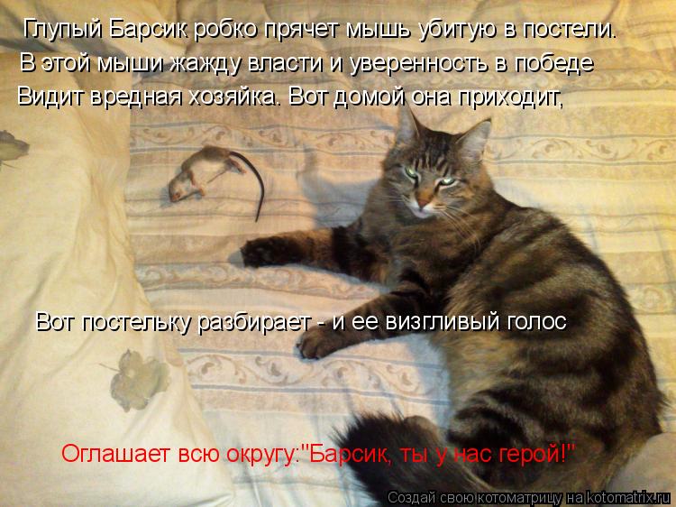 Глупый Барсик робко прячет мышь убитую в постели. В этой мыши жажду власти и уверенность в победе В... Котоматрица: Глупый Барсик робко прячет мышь убитую в постели. В этой мыши жажду власти и уверенность в победе Видит вредная хозяйка. Вот домой она прих