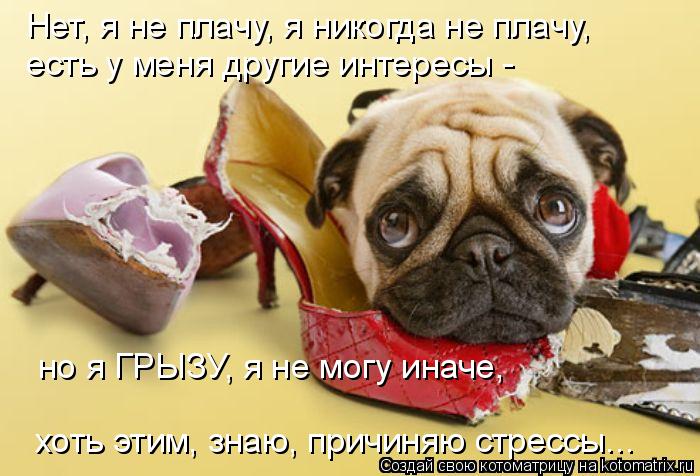 Нет, я не плачу, я никогда не плачу, есть у меня другие интересы - но я ГРЫЗУ, я не могу иначе, хо... Котоматрица: Нет, я не плачу, я никогда не плачу, есть у меня другие интересы - но я ГРЫЗУ, я не могу иначе, хоть этим, знаю, причиняю стрессы...