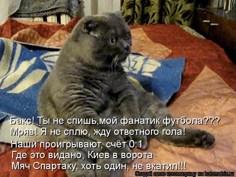 Бакс! Ты не спишь,мой фанатик футбола??? Мряв! Я не сплю, жду ответного гола! Наши проигрывают, счёт ... Котоматрица: Бакс! Ты не спишь,мой фанатик футбола??? Мряв! Я не сплю, жду ответного гола! Наши проигрывают, счёт 0:1. Где это видано, Киев в ворота Мяч Спарта