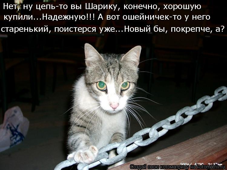 Нет, ну цепь-то вы Шарику, конечно, хорошую купили...Надежную!!! А вот ошейничек-то у него старенький... Котоматрица: Нет, ну цепь-то вы Шарику, конечно, хорошую купили...Надежную!!! А вот ошейничек-то у него старенький, поистерся уже...Новый бы, покрепче, а?