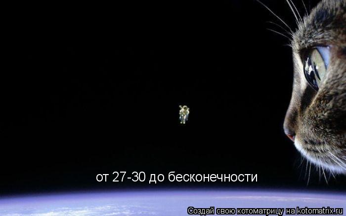 от 27-30 до бесконечности... Котоматрица: от 27-30 до бесконечности
