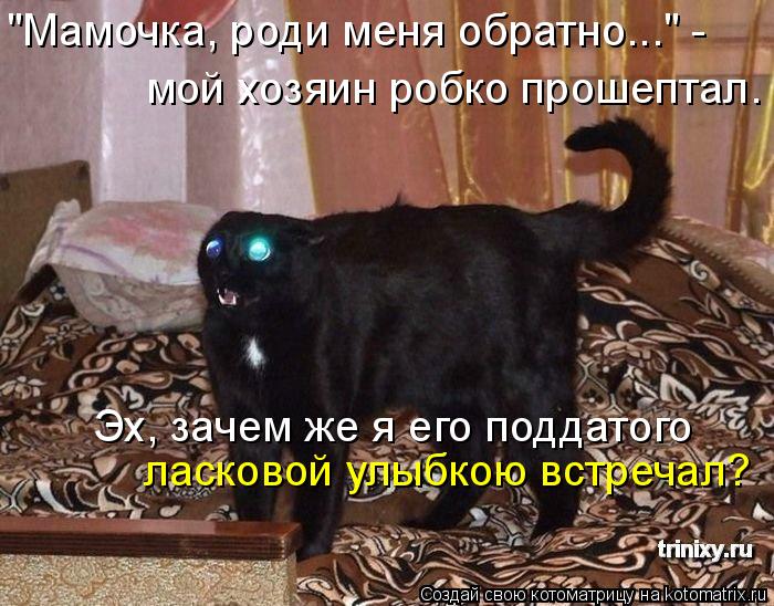 "Мамочка, роди меня обратно..." - мой хозяин робко прошептал. Эх, зачем же я его поддатого ласковой ... Котоматрица: "Мамочка, роди меня обратно..." - мой хозяин робко прошептал. Эх, зачем же я его поддатого ласковой улыбкою встречал?