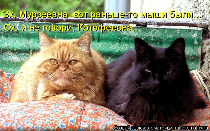 Эх, Мурзеевна, вот раньше-то мыши были... Ох, и не говори, Котофеевна...... Котоматрица: Эх, Мурзеевна, вот раньше-то мыши были... Ох, и не говори, Котофеевна...