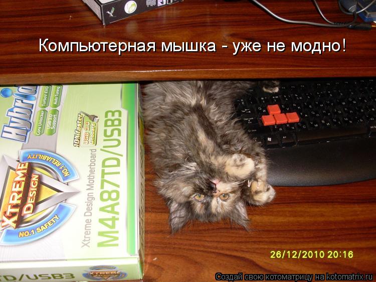 Компьютерная мышка - уже не модно!... Котоматрица: Компьютерная мышка - уже не модно!